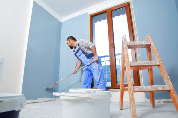 Mold Odor Removal Services in Osborne, KS